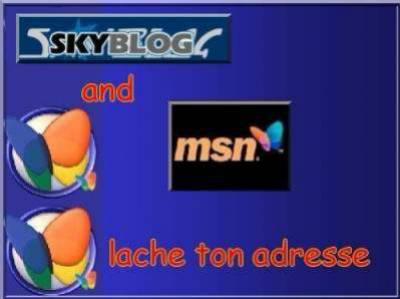 msn et skyblog
